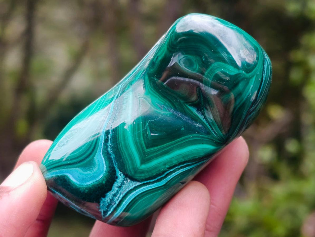 Polished Flower Banded Malachite Free Forms x 6 From Congo - Toprock Gemstones and Minerals 