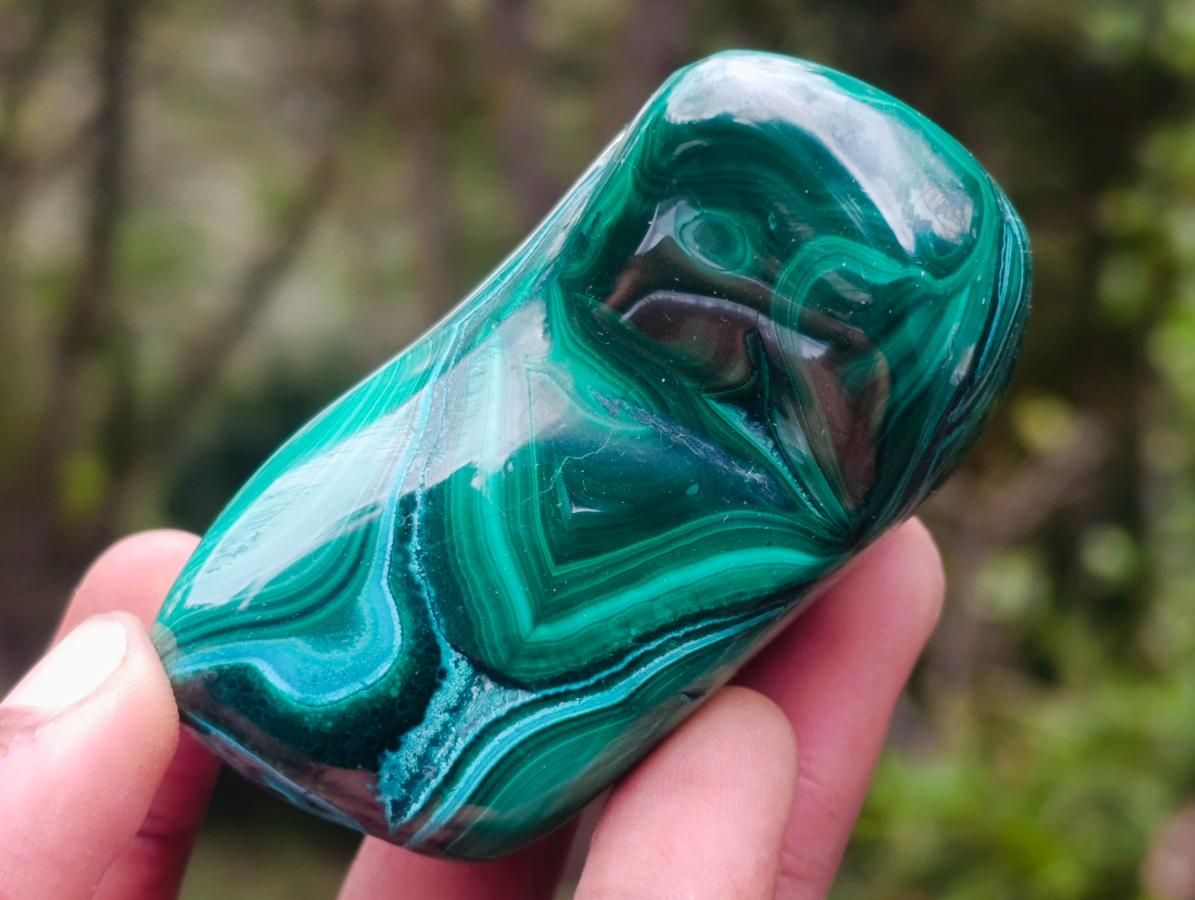 Polished Flower Banded Malachite Free Forms x 6 From Congo - Toprock Gemstones and Minerals 