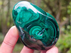 Polished Flower Banded Malachite Free Forms x 6 From Congo - Toprock Gemstones and Minerals 