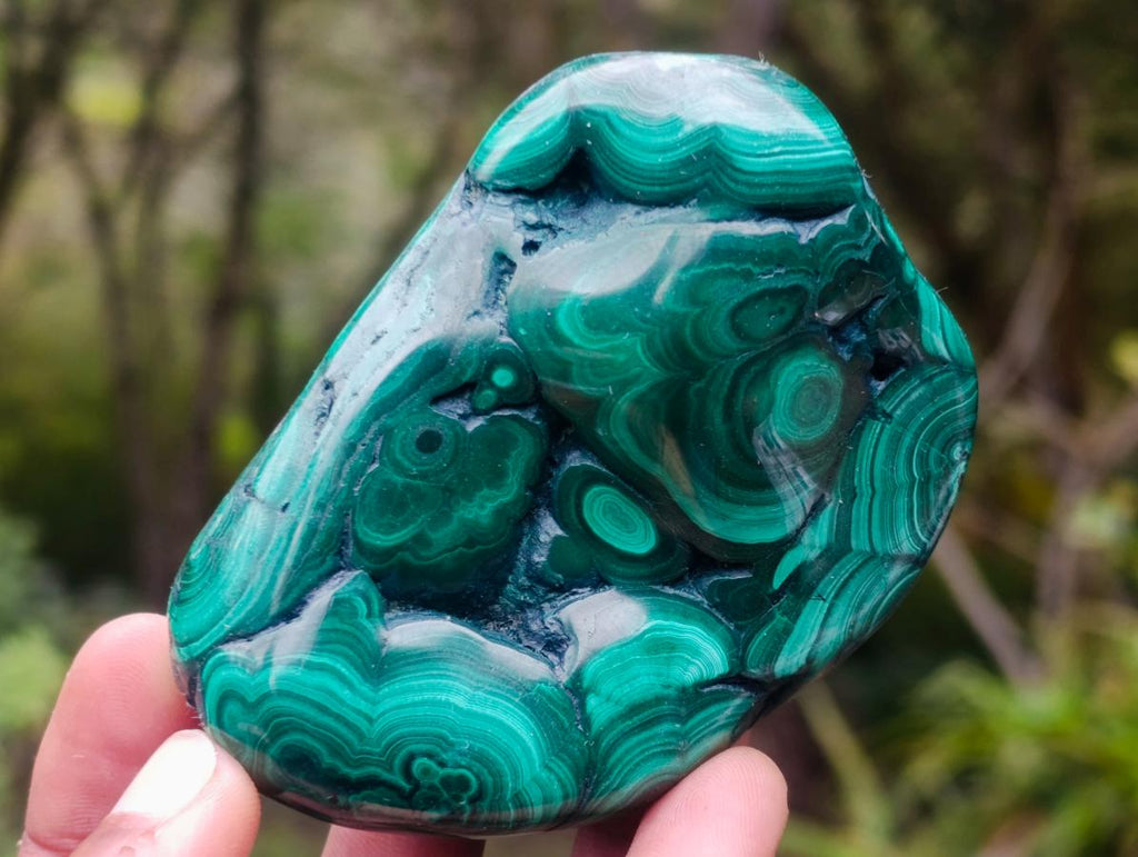 Polished Flower Banded Malachite Free Forms x 6 From Congo - Toprock Gemstones and Minerals 