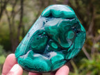 Polished Flower Banded Malachite Free Forms x 6 From Congo - Toprock Gemstones and Minerals 