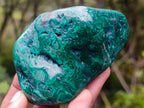 Polished Flower Banded Malachite Free Forms x 6 From Congo - Toprock Gemstones and Minerals 