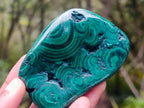 Polished Flower Banded Malachite Free Forms x 6 From Congo - Toprock Gemstones and Minerals 