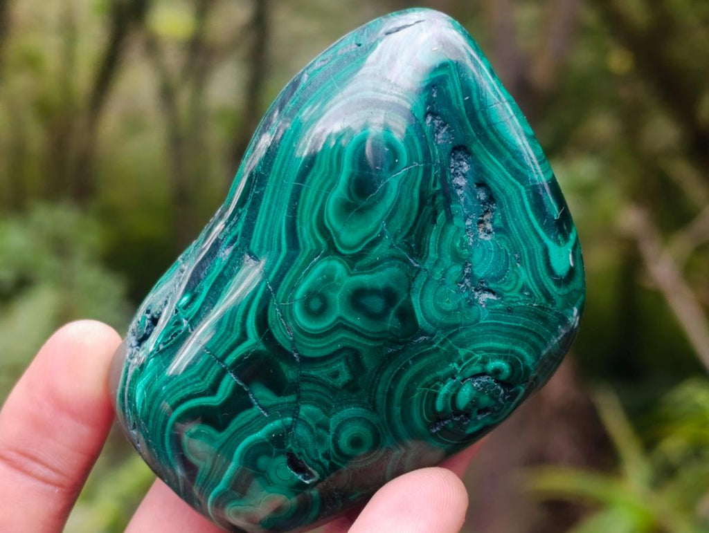Polished Flower Banded Malachite Free Forms x 6 From Congo - Toprock Gemstones and Minerals 