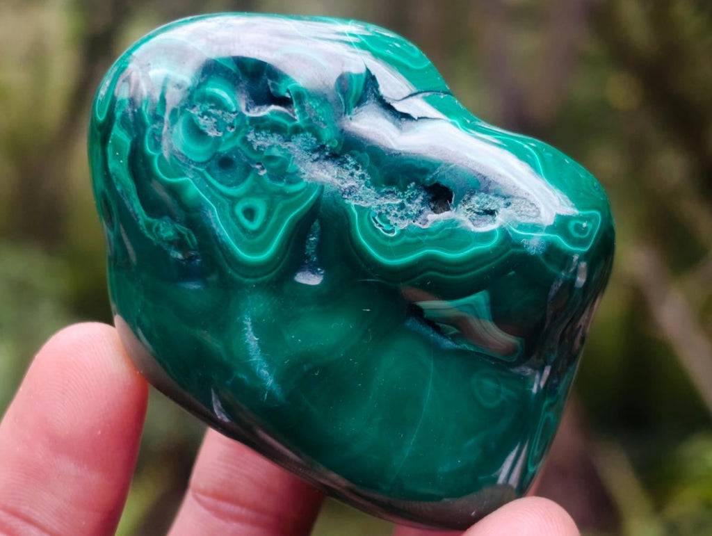 Polished Flower Banded Malachite Free Forms x 6 From Congo - Toprock Gemstones and Minerals 