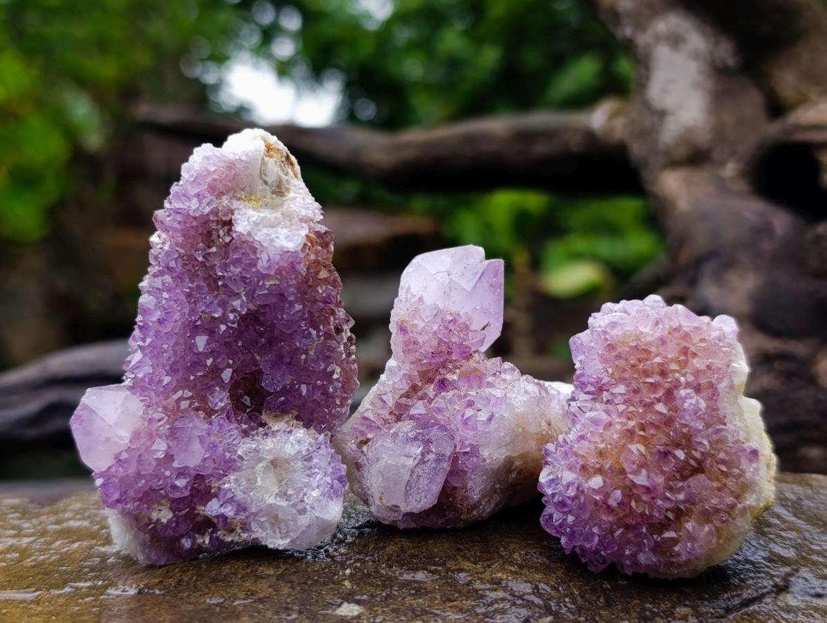 Natural Mixed Spirit Amethyst Crystals and Clusters x 24 From Boekenhouthoek, South Africa - Toprock Gemstones and Minerals 