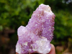 Natural Mixed Spirit Amethyst Crystals and Clusters x 24 From Boekenhouthoek, South Africa - Toprock Gemstones and Minerals 