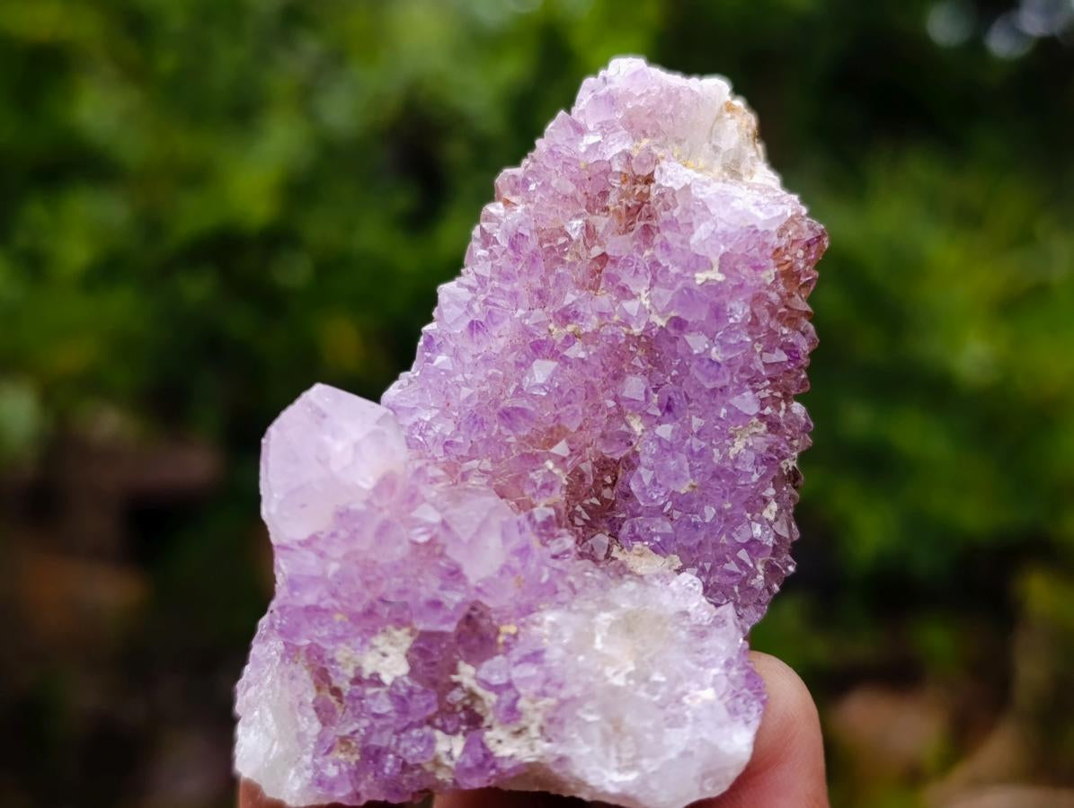 Natural Mixed Spirit Amethyst Crystals and Clusters x 24 From Boekenhouthoek, South Africa - Toprock Gemstones and Minerals 