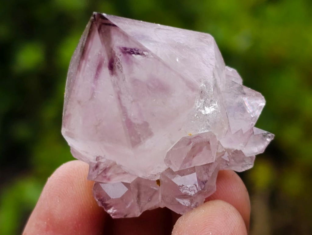 Natural Mixed Spirit Amethyst Crystals and Clusters x 24 From Boekenhouthoek, South Africa - Toprock Gemstones and Minerals 