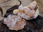 Natural Mixed Spirit Amethyst Crystals and Clusters x 24 From Boekenhouthoek, South Africa - Toprock Gemstones and Minerals 