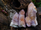 Natural Mixed Spirit Amethyst Crystals and Clusters x 24 From Boekenhouthoek, South Africa - Toprock Gemstones and Minerals 