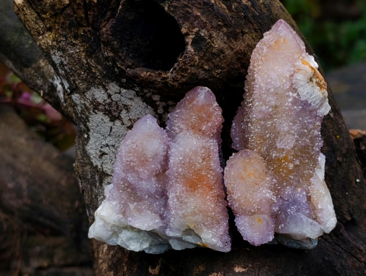 Natural Mixed Spirit Amethyst Crystals and Clusters x 24 From Boekenhouthoek, South Africa - Toprock Gemstones and Minerals 