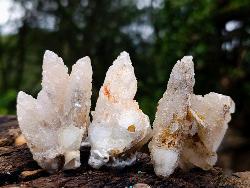 Natural Drusy Quartz Coated Calcite Pseudomorph Specimens x 24 From Albert's Mountain, Lesotho - Toprock Gemstones and Minerals 