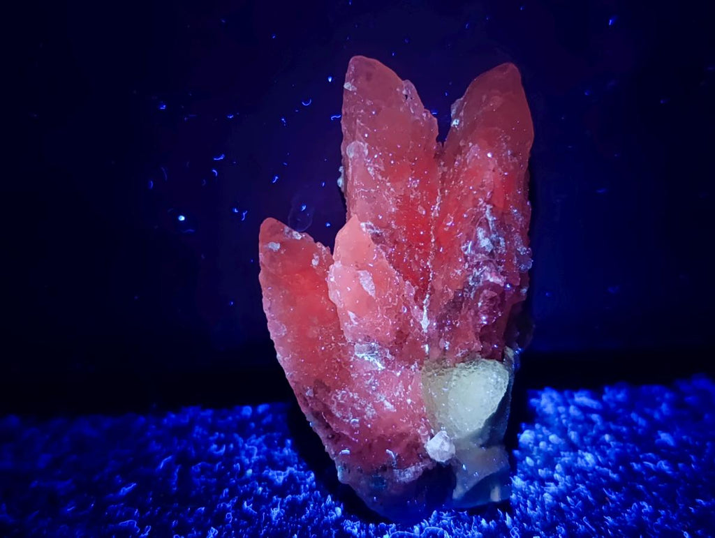 Natural Drusy Quartz Coated Calcite Pseudomorph Specimens x 24 From Albert's Mountain, Lesotho - Toprock Gemstones and Minerals 