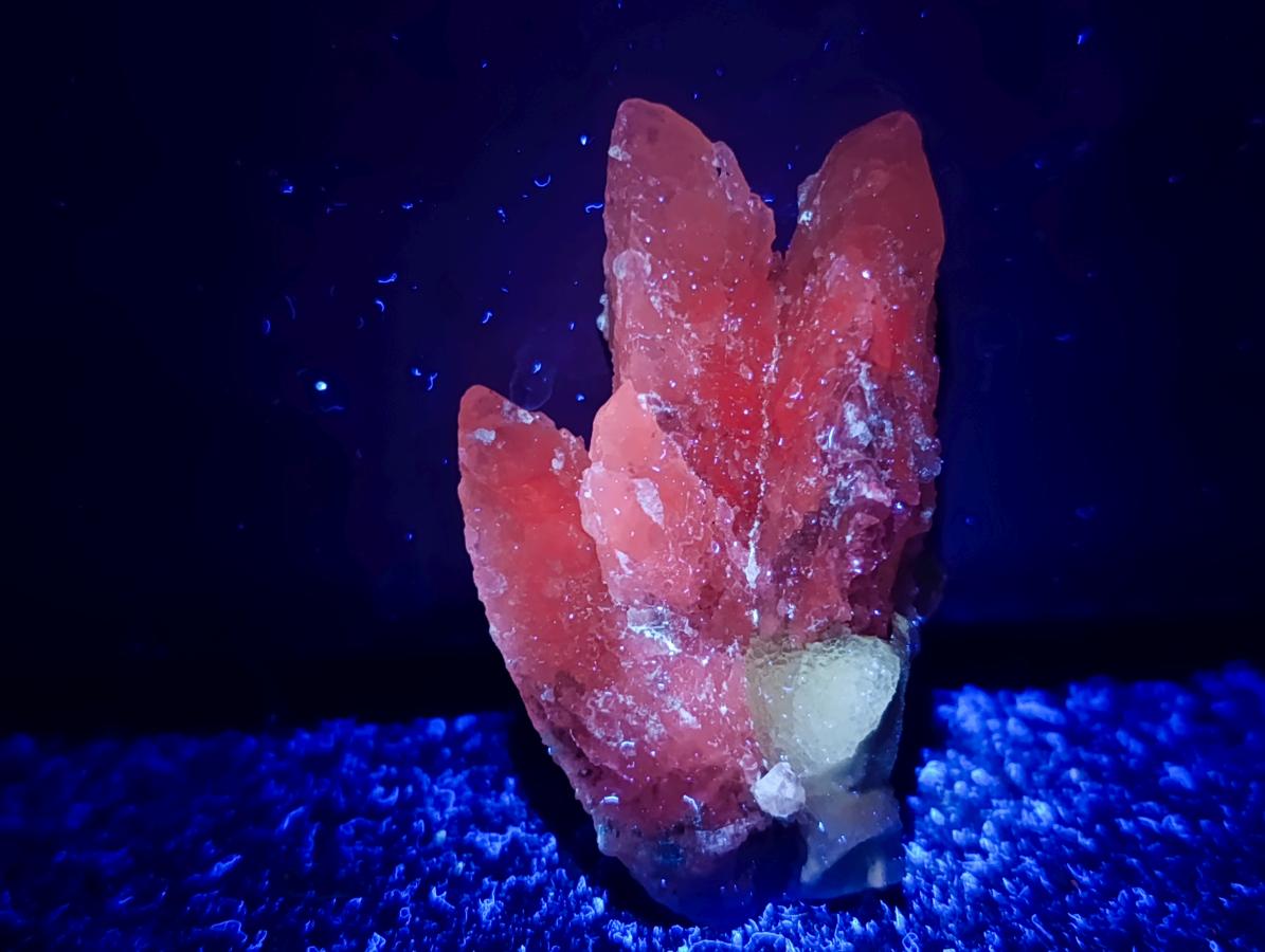 Natural Drusy Quartz Coated Calcite Pseudomorph Specimens x 24 From Albert's Mountain, Lesotho - Toprock Gemstones and Minerals 