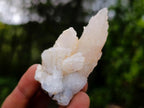 Natural Drusy Quartz Coated Calcite Pseudomorph Specimens x 24 From Albert's Mountain, Lesotho - Toprock Gemstones and Minerals 