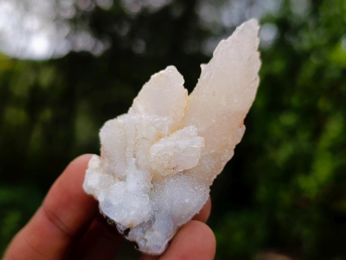 Natural Drusy Quartz Coated Calcite Pseudomorph Specimens x 24 From Albert's Mountain, Lesotho - Toprock Gemstones and Minerals 