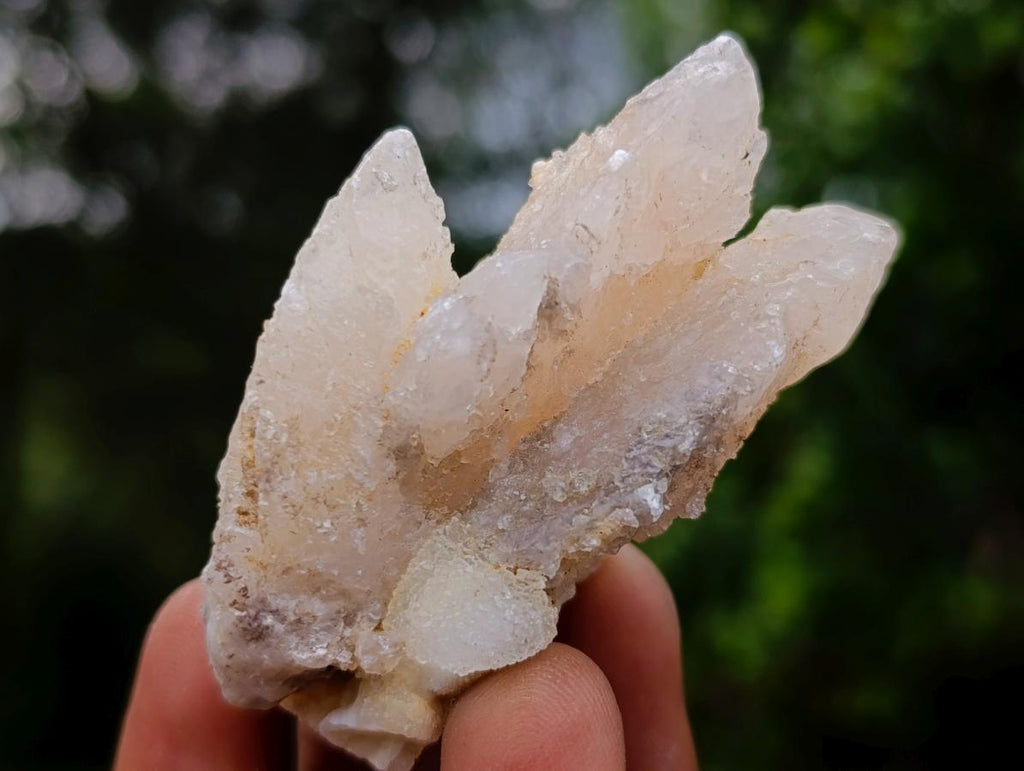 Natural Drusy Quartz Coated Calcite Pseudomorph Specimens x 24 From Albert's Mountain, Lesotho - Toprock Gemstones and Minerals 