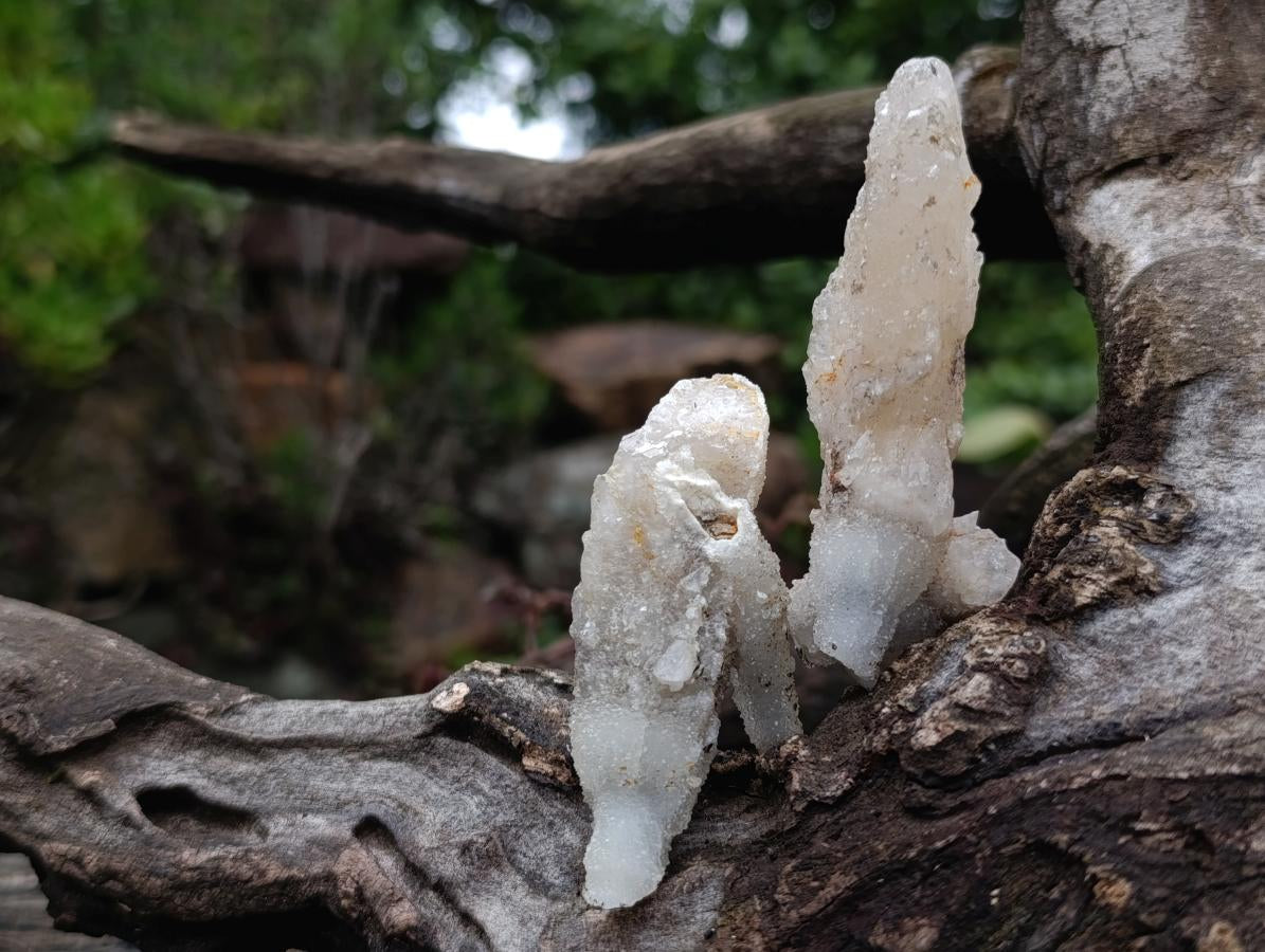 Natural Drusy Quartz Coated Calcite Pseudomorph Specimens x 24 From Albert's Mountain, Lesotho - Toprock Gemstones and Minerals 