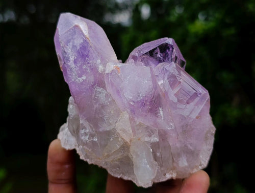 Natural Jacaranda Amethyst Crystal Clusters x 6 From Mumbwa, Zambia - Toprock Gemstones and Minerals 