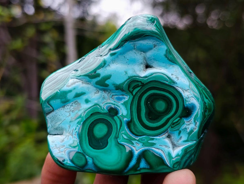 Polished Malacolla Free Forms x 6 From Kulukuluku, Congo - Toprock Gemstones and Minerals 