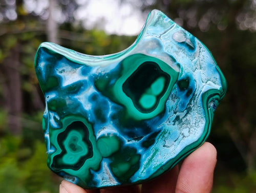 Polished Malacolla Free Forms x 6 From Kulukuluku, Congo - Toprock Gemstones and Minerals 