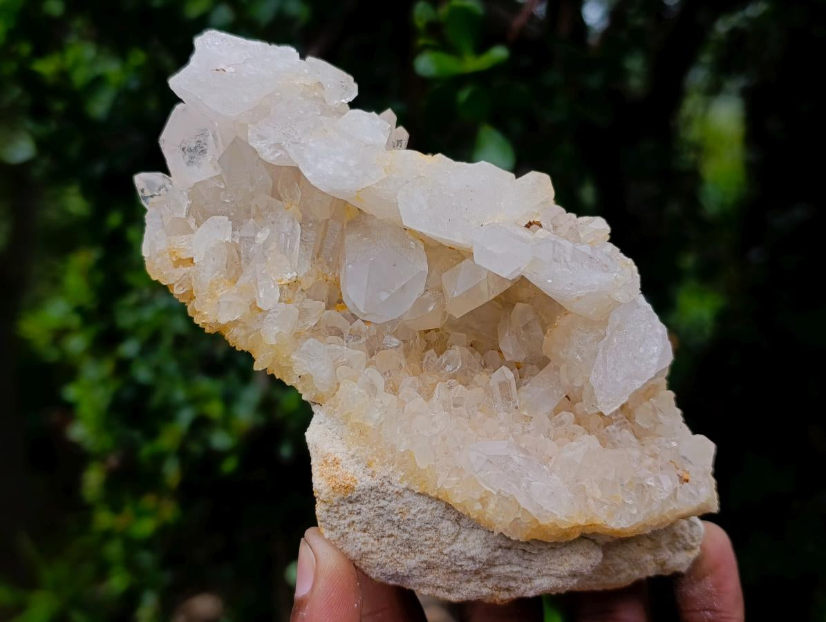 Natural Malagasy Quartz Clusters x 2 From Madagascar - Toprock Gemstones and Minerals 