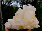 Natural Malagasy Quartz Clusters x 2 From Madagascar - Toprock Gemstones and Minerals 