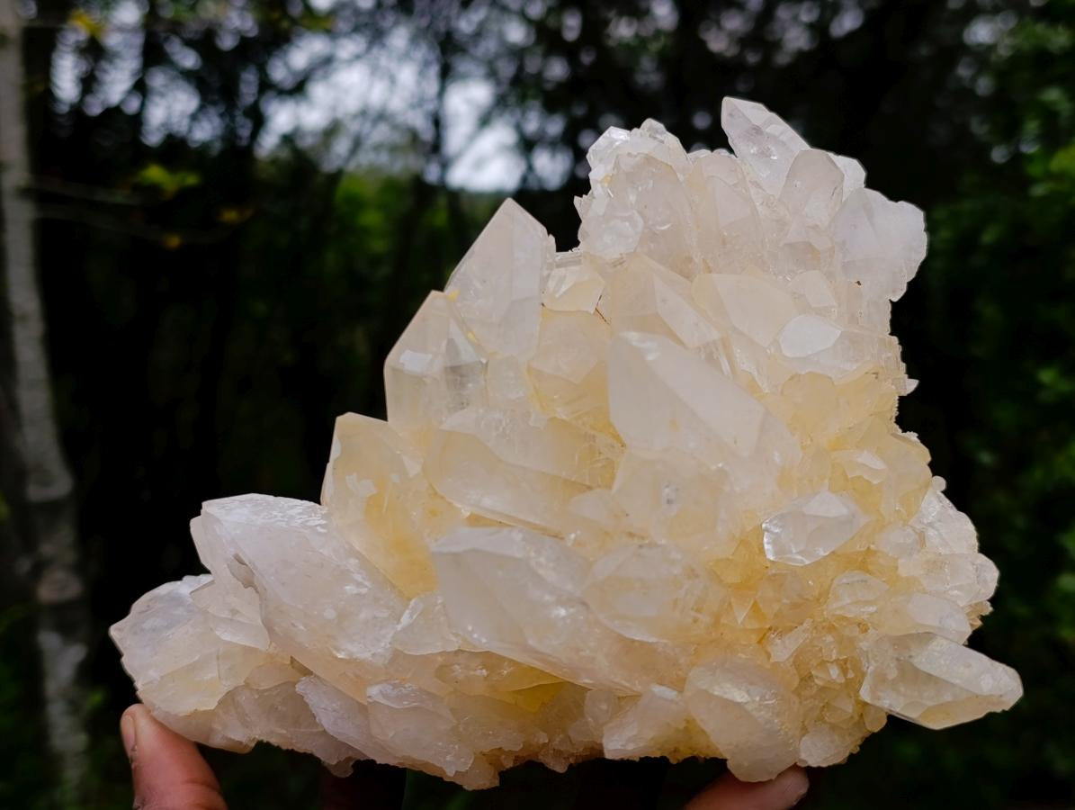Natural Malagasy Quartz Clusters x 2 From Madagascar - Toprock Gemstones and Minerals 