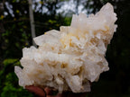 Natural Malagasy Quartz Clusters x 2 From Madagascar - Toprock Gemstones and Minerals 