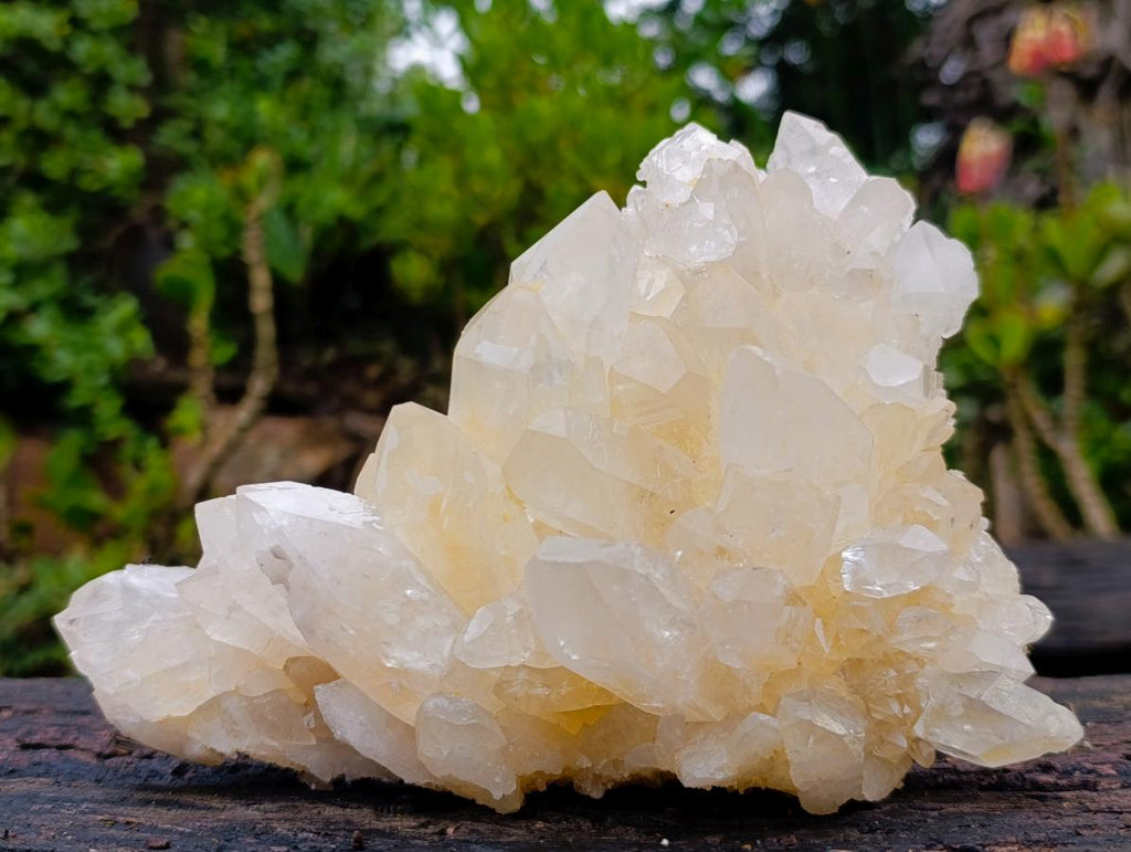 Natural Malagasy Quartz Clusters x 2 From Madagascar - Toprock Gemstones and Minerals 