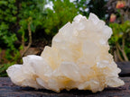 Natural Malagasy Quartz Clusters x 2 From Madagascar - Toprock Gemstones and Minerals 