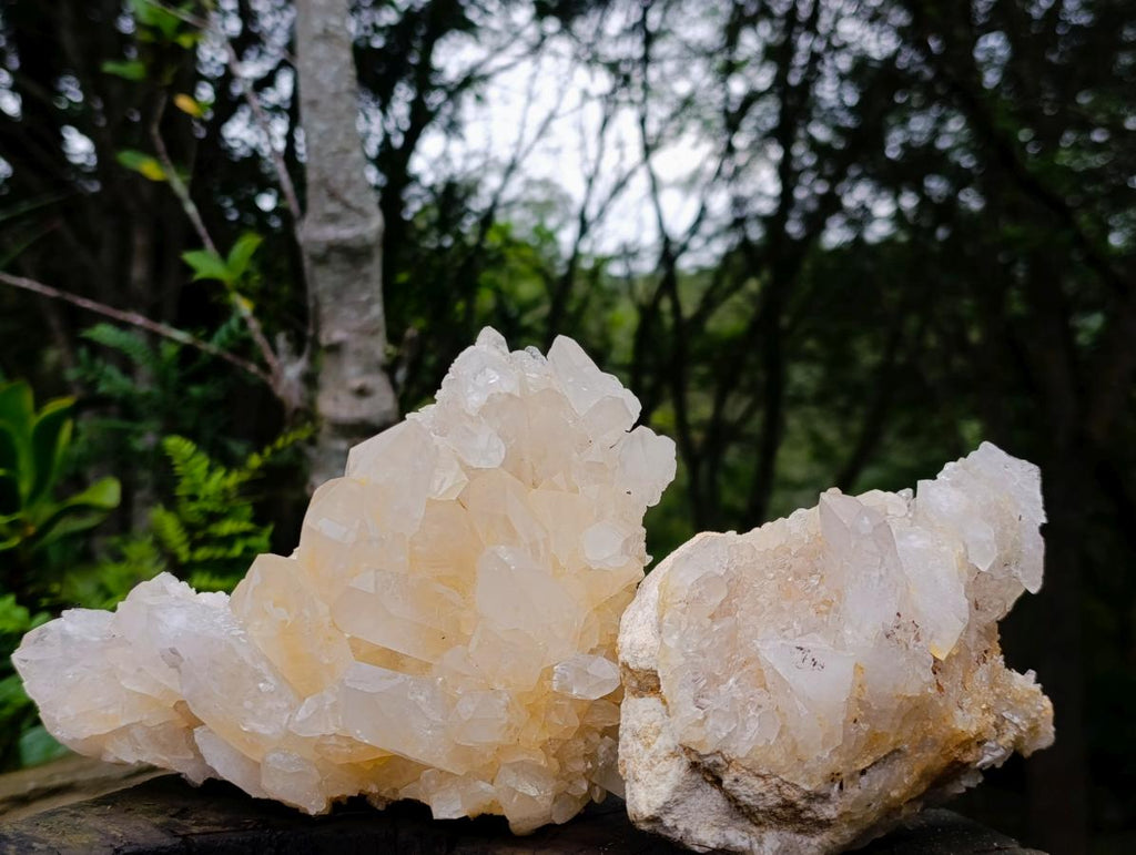 Natural Malagasy Quartz Clusters x 2 From Madagascar - Toprock Gemstones and Minerals 