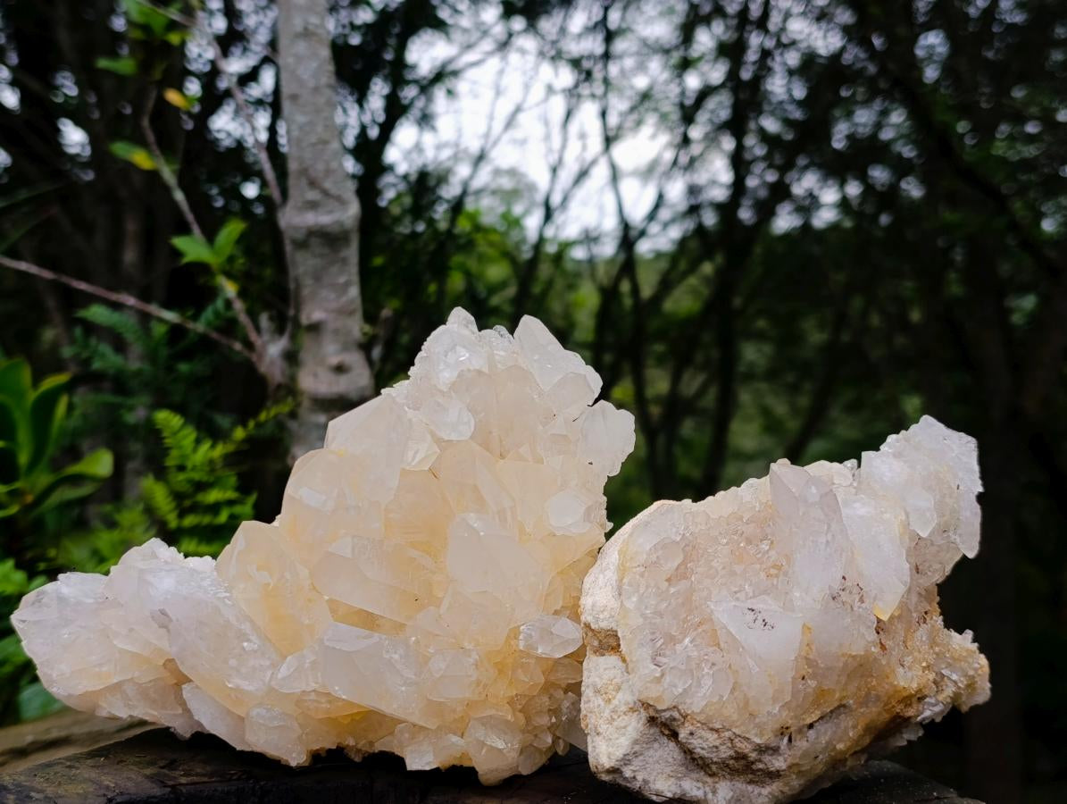 Natural Malagasy Quartz Clusters x 2 From Madagascar - Toprock Gemstones and Minerals 