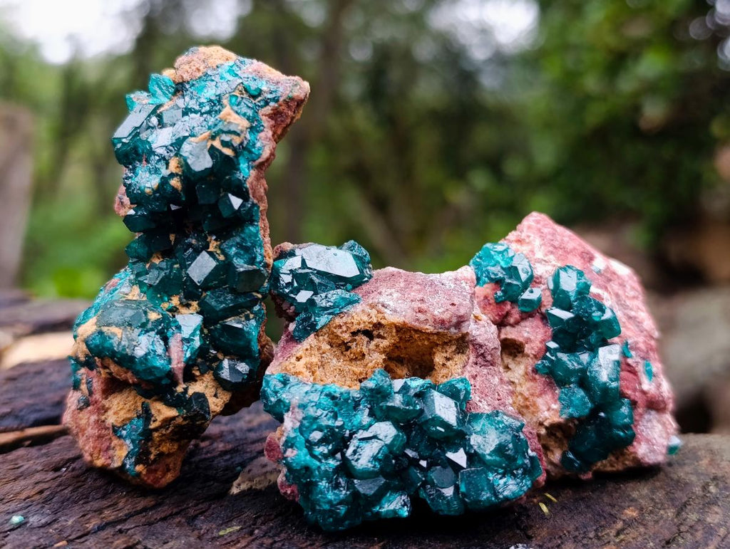 Natural Dioptase on Dolomite Specimens x 12 From Likasi, Congo - Toprock Gemstones and Minerals 