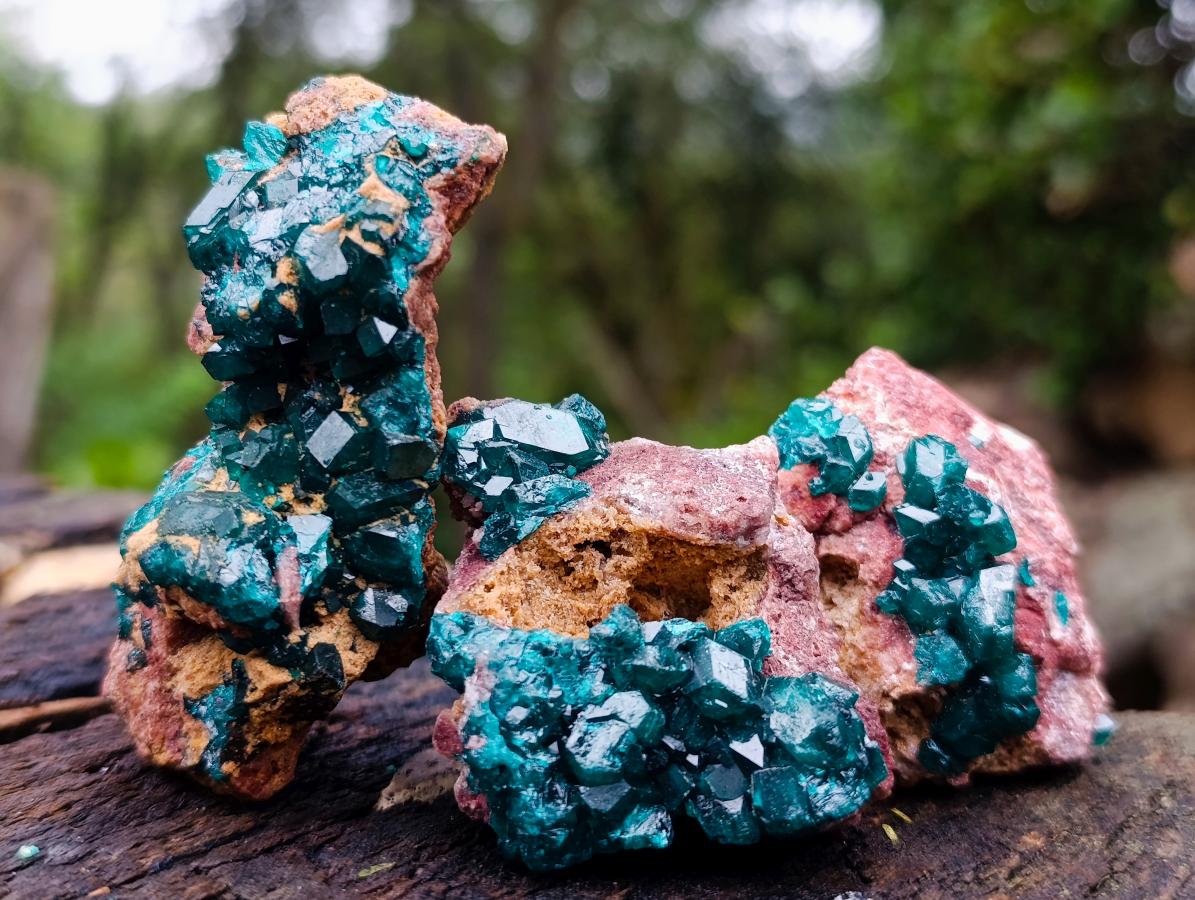Natural Dioptase on Dolomite Specimens x 12 From Likasi, Congo - Toprock Gemstones and Minerals 