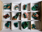 Natural Dioptase on Dolomite Specimens x 12 From Likasi, Congo - Toprock Gemstones and Minerals 