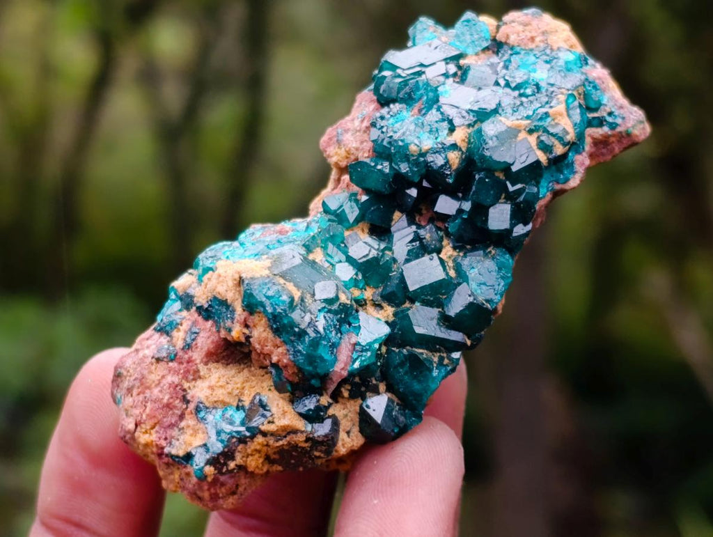 Natural Dioptase on Dolomite Specimens x 12 From Likasi, Congo - Toprock Gemstones and Minerals 
