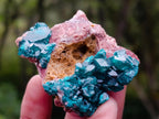 Natural Dioptase on Dolomite Specimens x 12 From Likasi, Congo - Toprock Gemstones and Minerals 