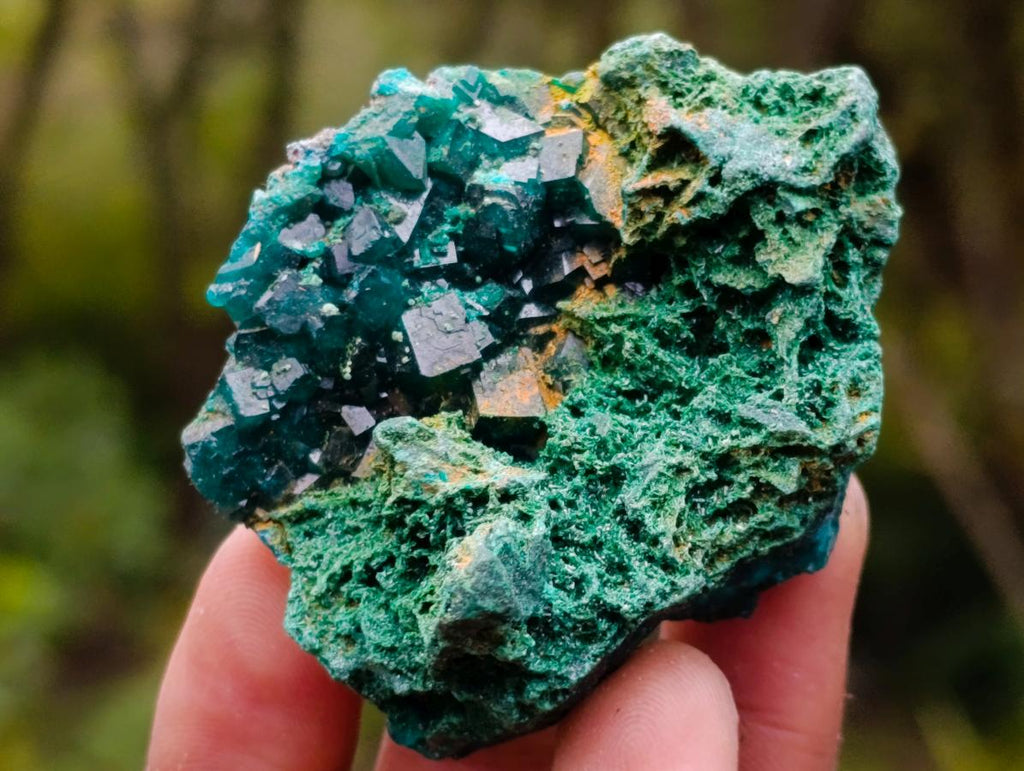 Natural Dioptase on Dolomite Specimens x 12 From Likasi, Congo - Toprock Gemstones and Minerals 