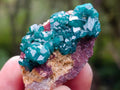 Natural Dioptase on Dolomite Specimens x 12 From Likasi, Congo - Toprock Gemstones and Minerals 