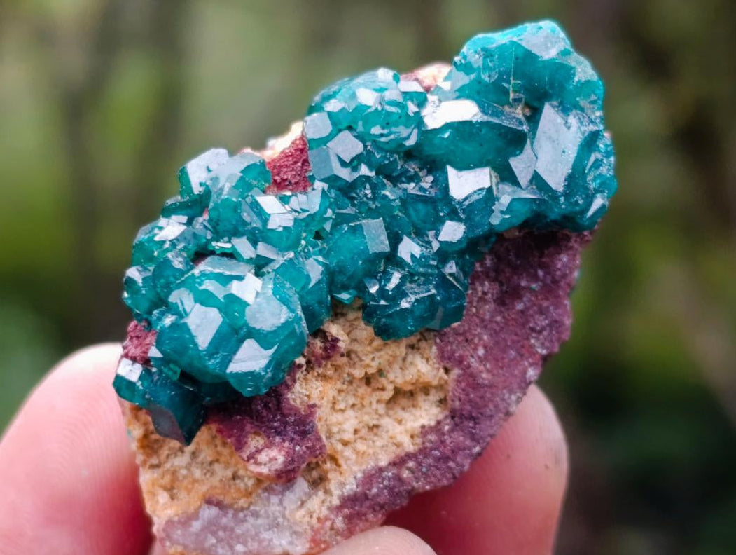 Natural Dioptase on Dolomite Specimens x 12 From Likasi, Congo - Toprock Gemstones and Minerals 
