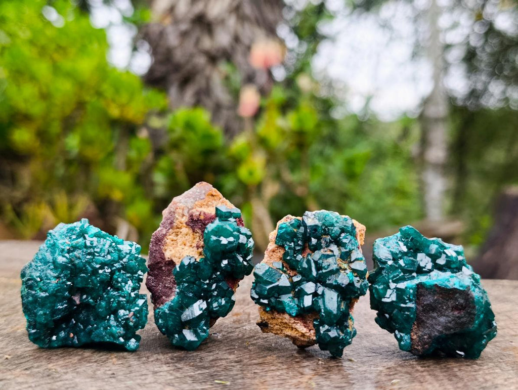 Natural Dioptase on Dolomite Specimens x 12 From Likasi, Congo - Toprock Gemstones and Minerals 