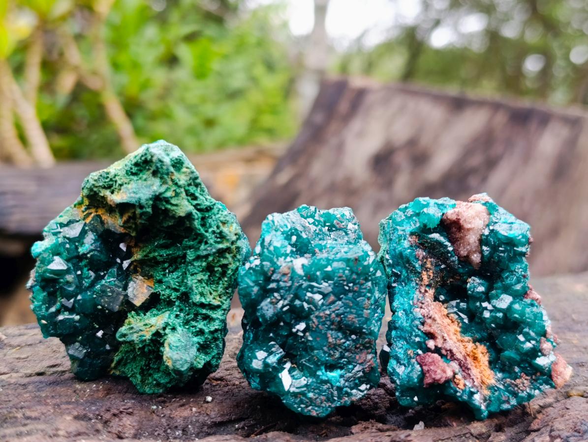 Natural Dioptase on Dolomite Specimens x 12 From Likasi, Congo - Toprock Gemstones and Minerals 