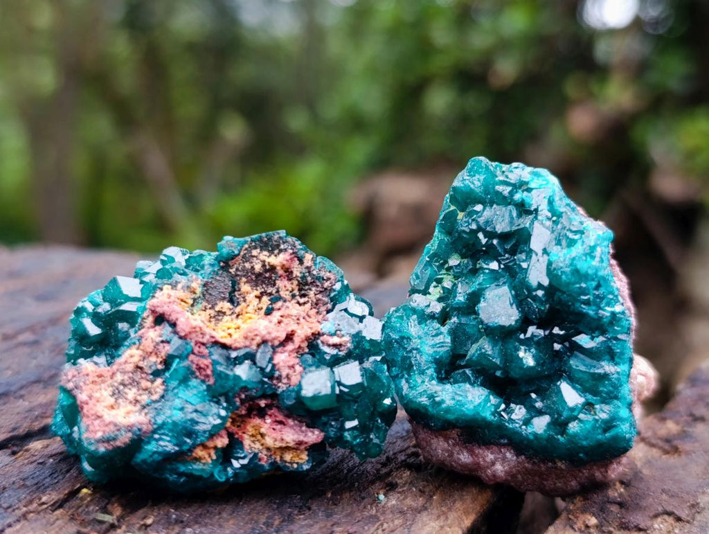 Natural Dioptase on Dolomite Specimens x 12 From Likasi, Congo - Toprock Gemstones and Minerals 