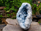 Natural XXL Blue Celestite Geode Specimen x 1 From Sakoany, Madagascar - Toprock Gemstones and Minerals 