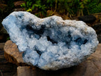 Natural XXL Blue Celestite Geode Specimen x 1 From Sakoany, Madagascar - Toprock Gemstones and Minerals 