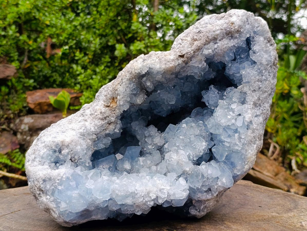 Natural XXL Blue Celestite Geode Specimen x 1 From Sakoany, Madagascar - Toprock Gemstones and Minerals 