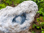 Natural XXL Blue Celestite Geode Specimen x 1 From Sakoany, Madagascar - Toprock Gemstones and Minerals 