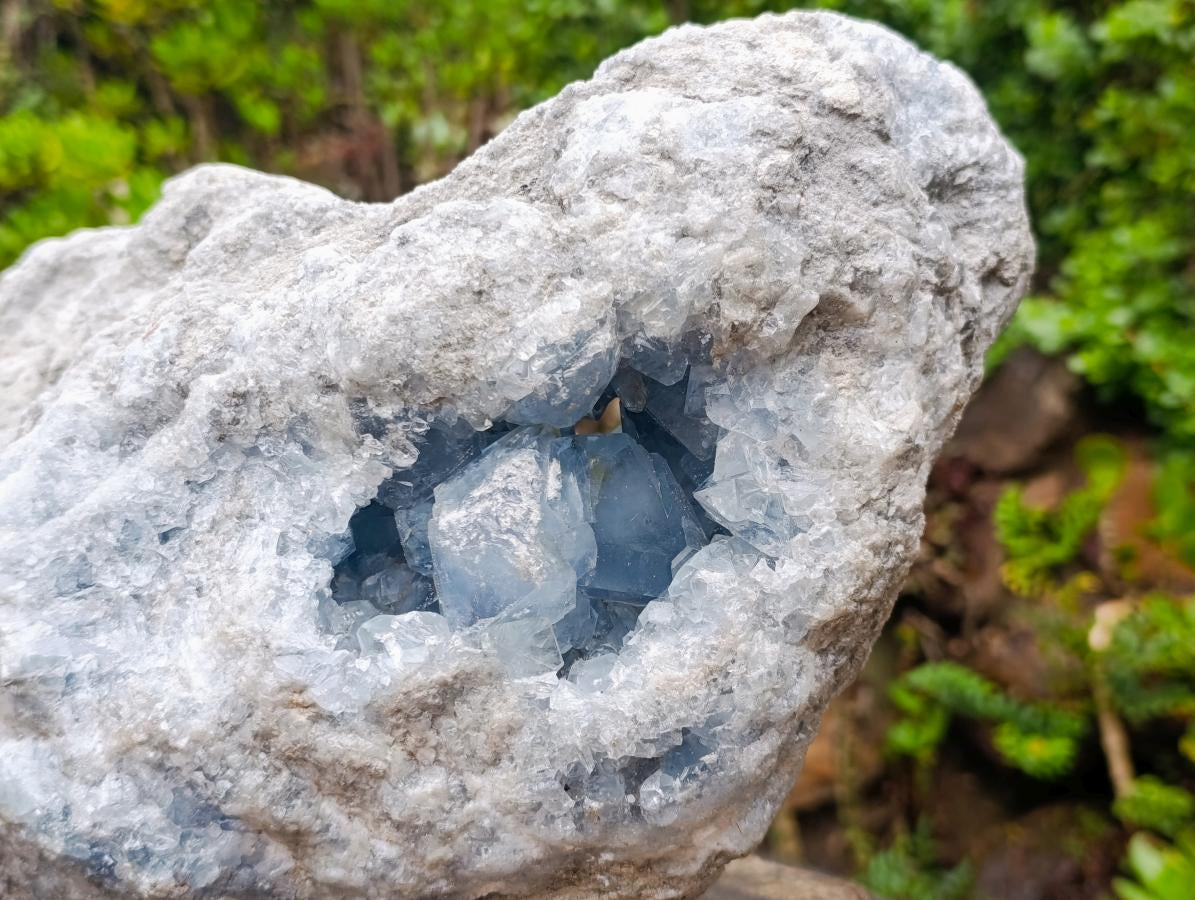 Natural XXL Blue Celestite Geode Specimen x 1 From Sakoany, Madagascar - Toprock Gemstones and Minerals 